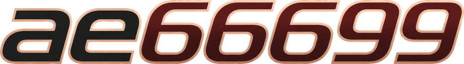 ae66699
